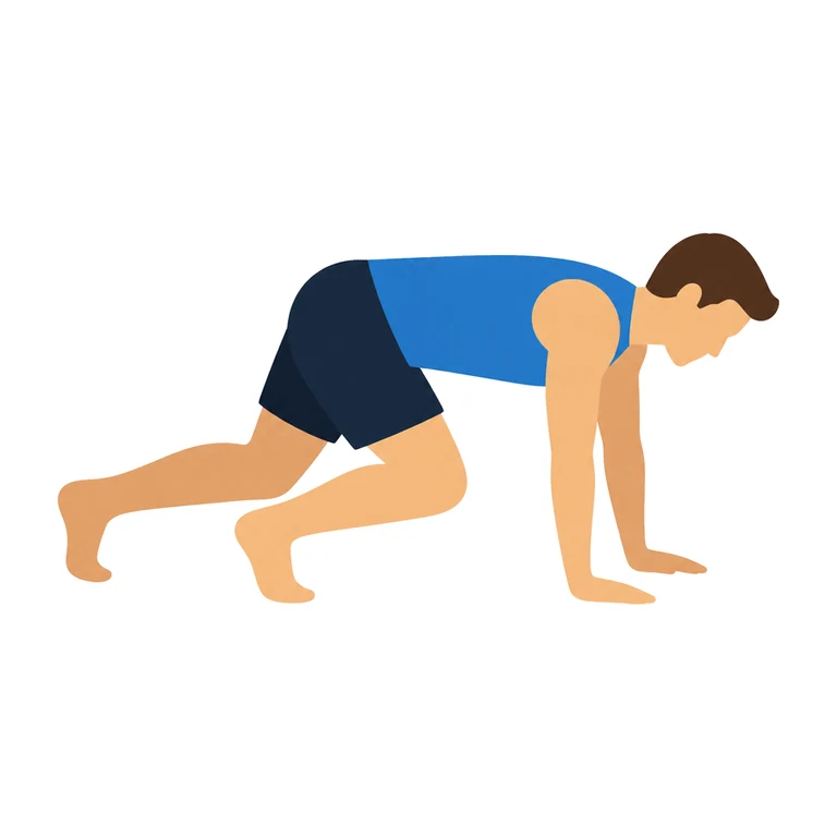Bear crawl