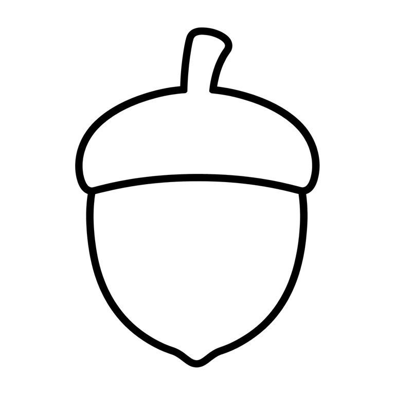 acorn