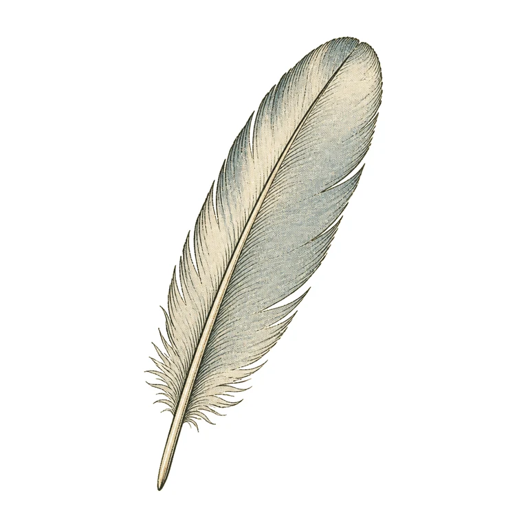 Feather