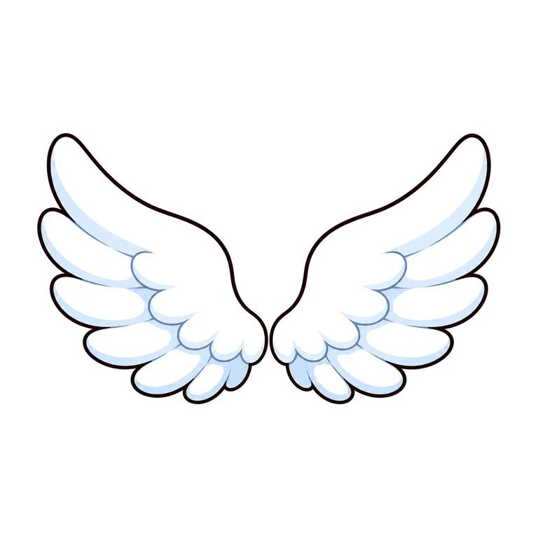 Wings