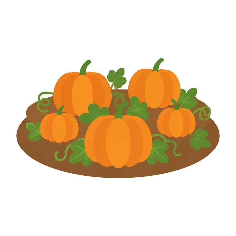pumpkin patch
