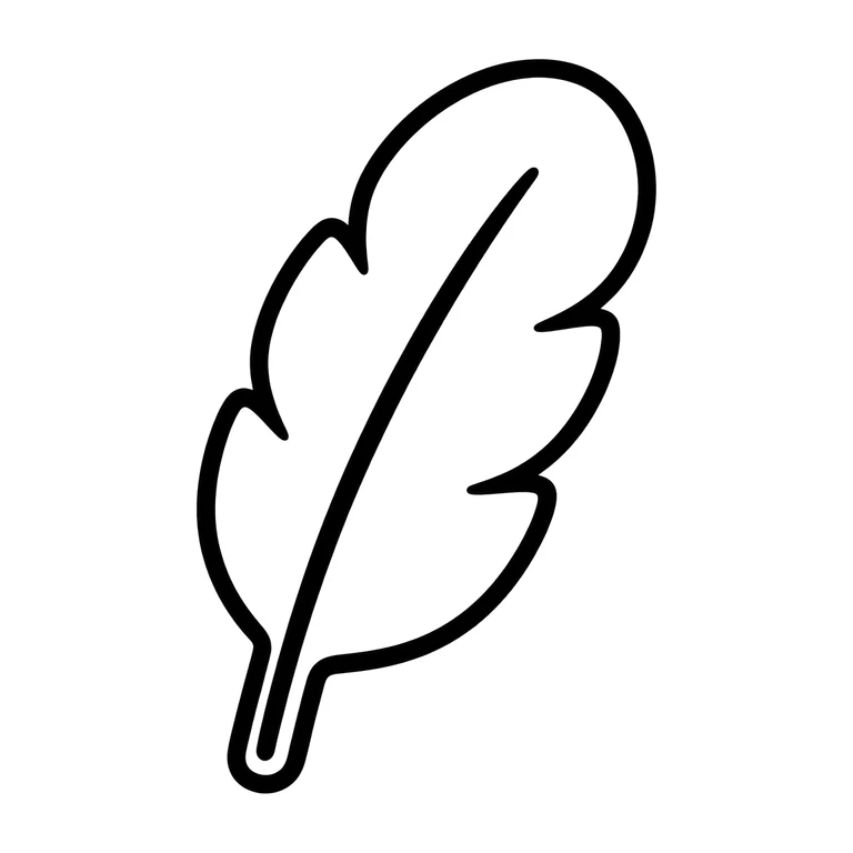 turkey feather