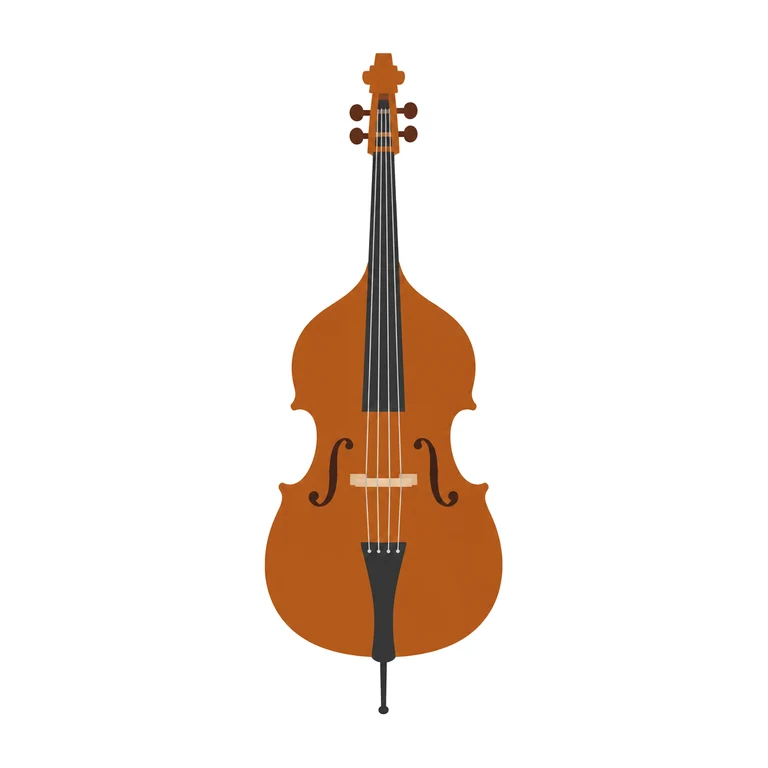 Double Bass