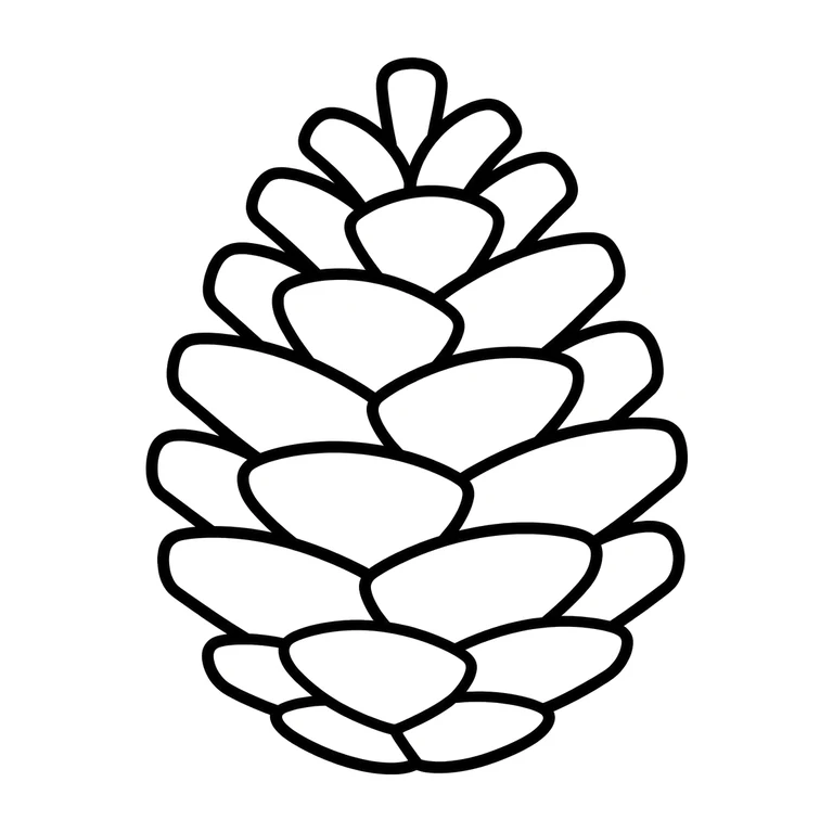 pinecone